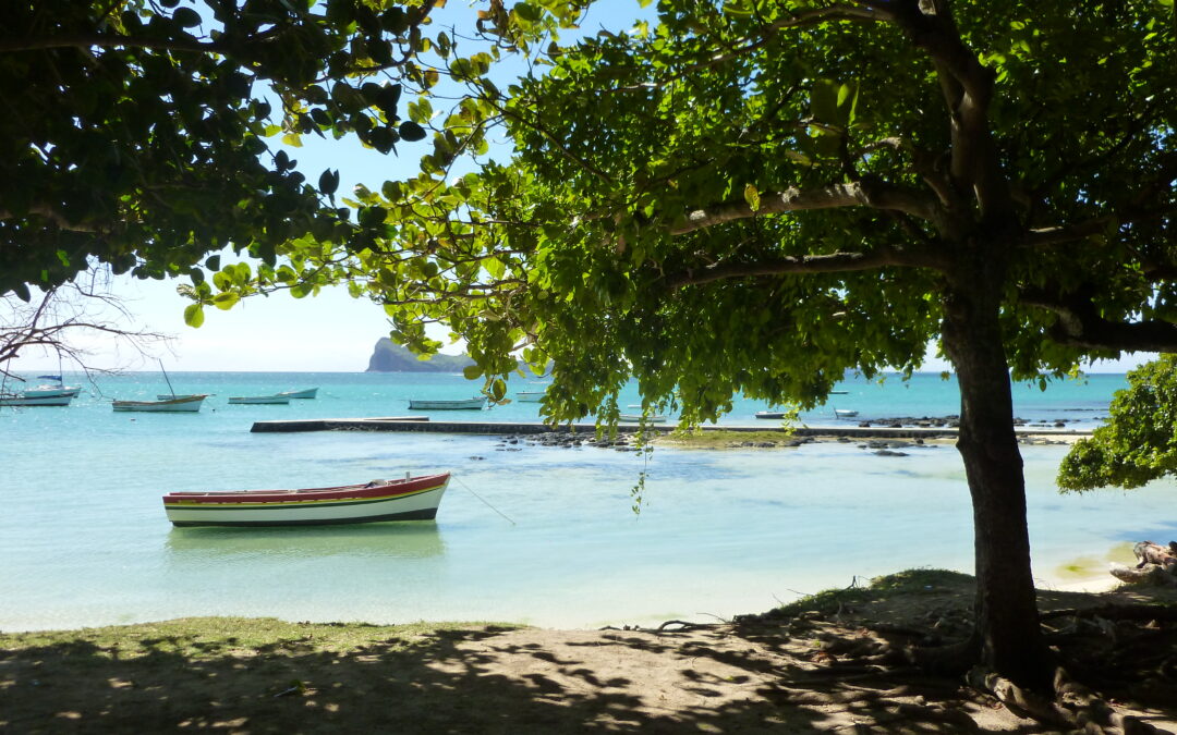 Mauritius: Guida completa fai da te (oltre il resort)